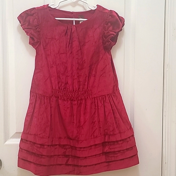 Тea Velour Fancy Raberry Short Puffy Sleeves Dress for a Little Girl. Si… - Picture 1 of 10